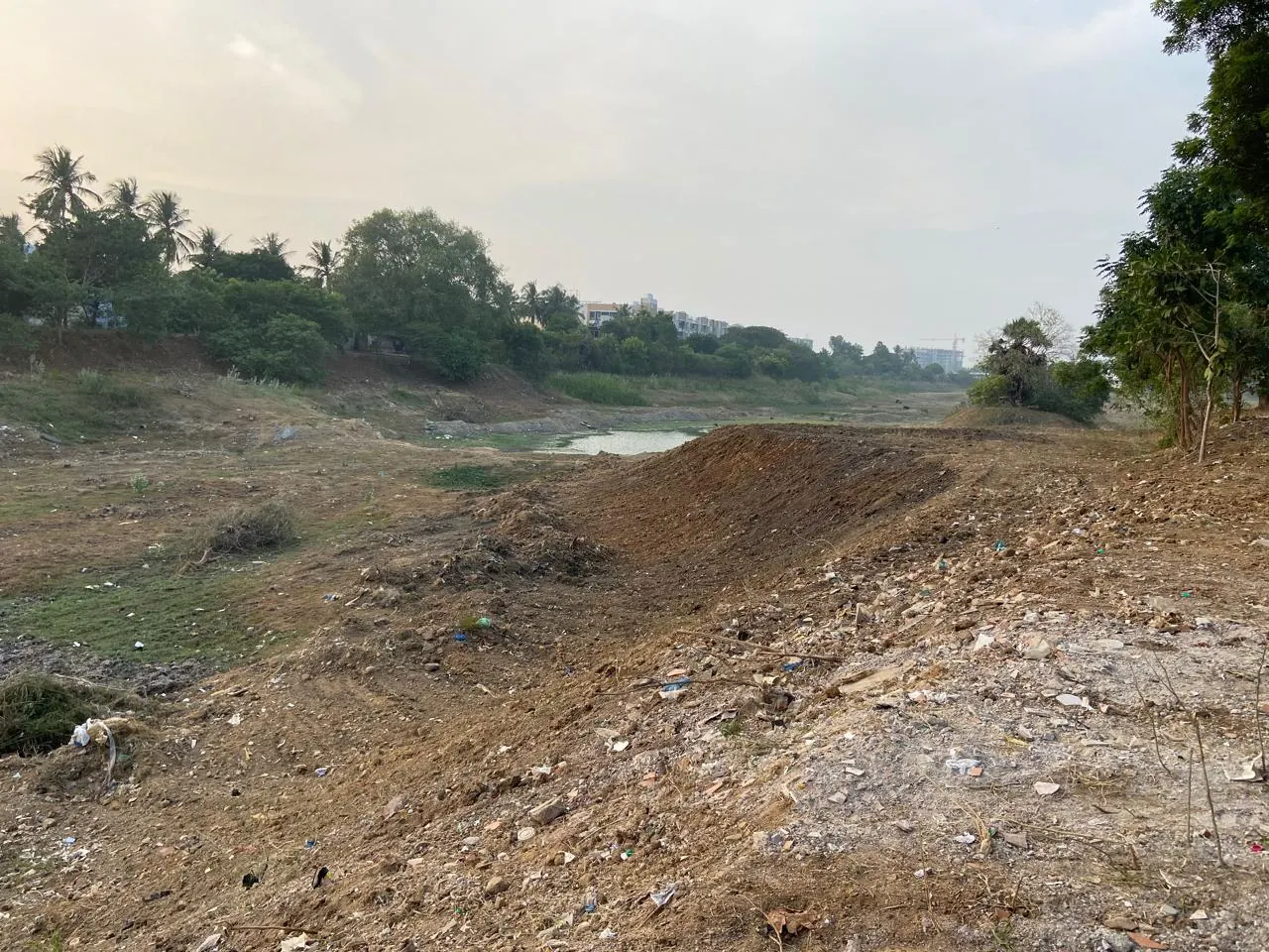 Looking across the lake from a reshaped bank