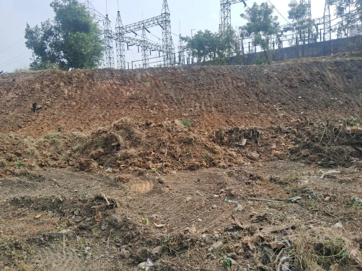 A cleared bank of the lake