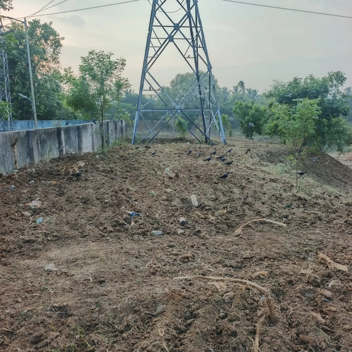 Levelled ground near a power pylon at the edge of the lake