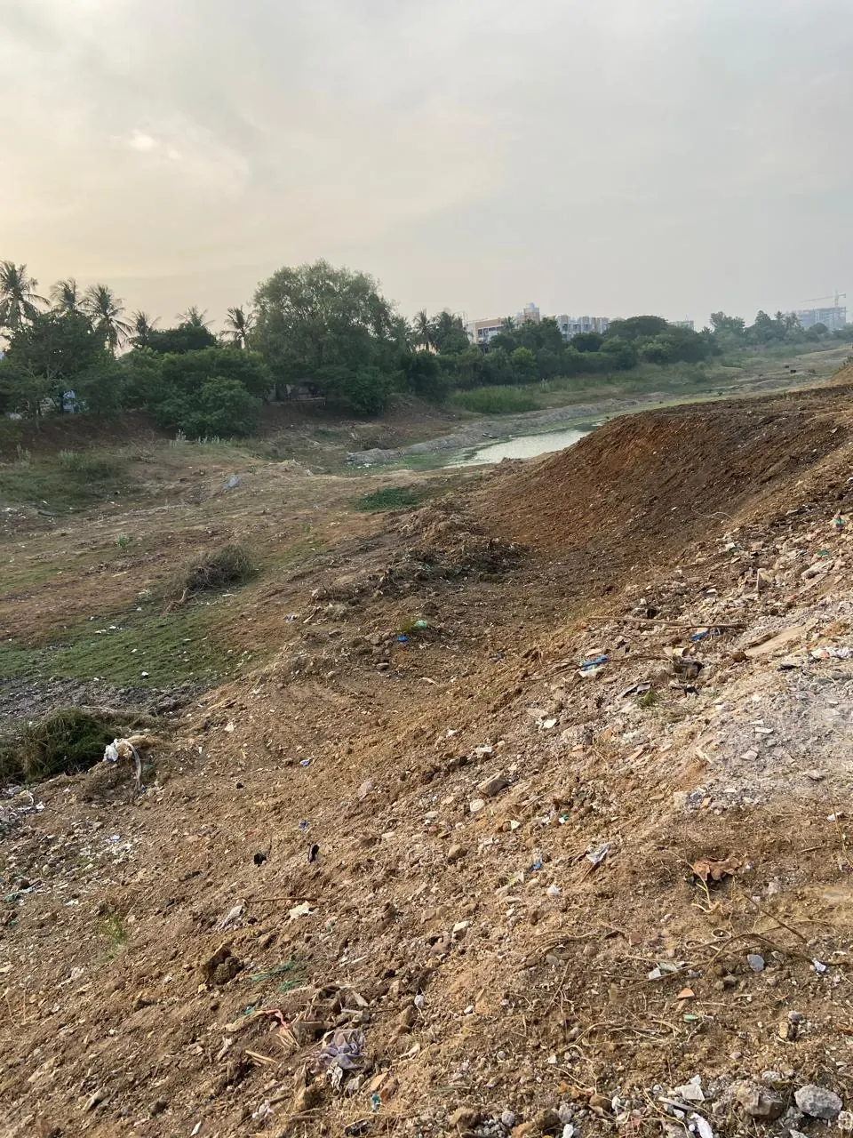 A reshaped bank of the lake