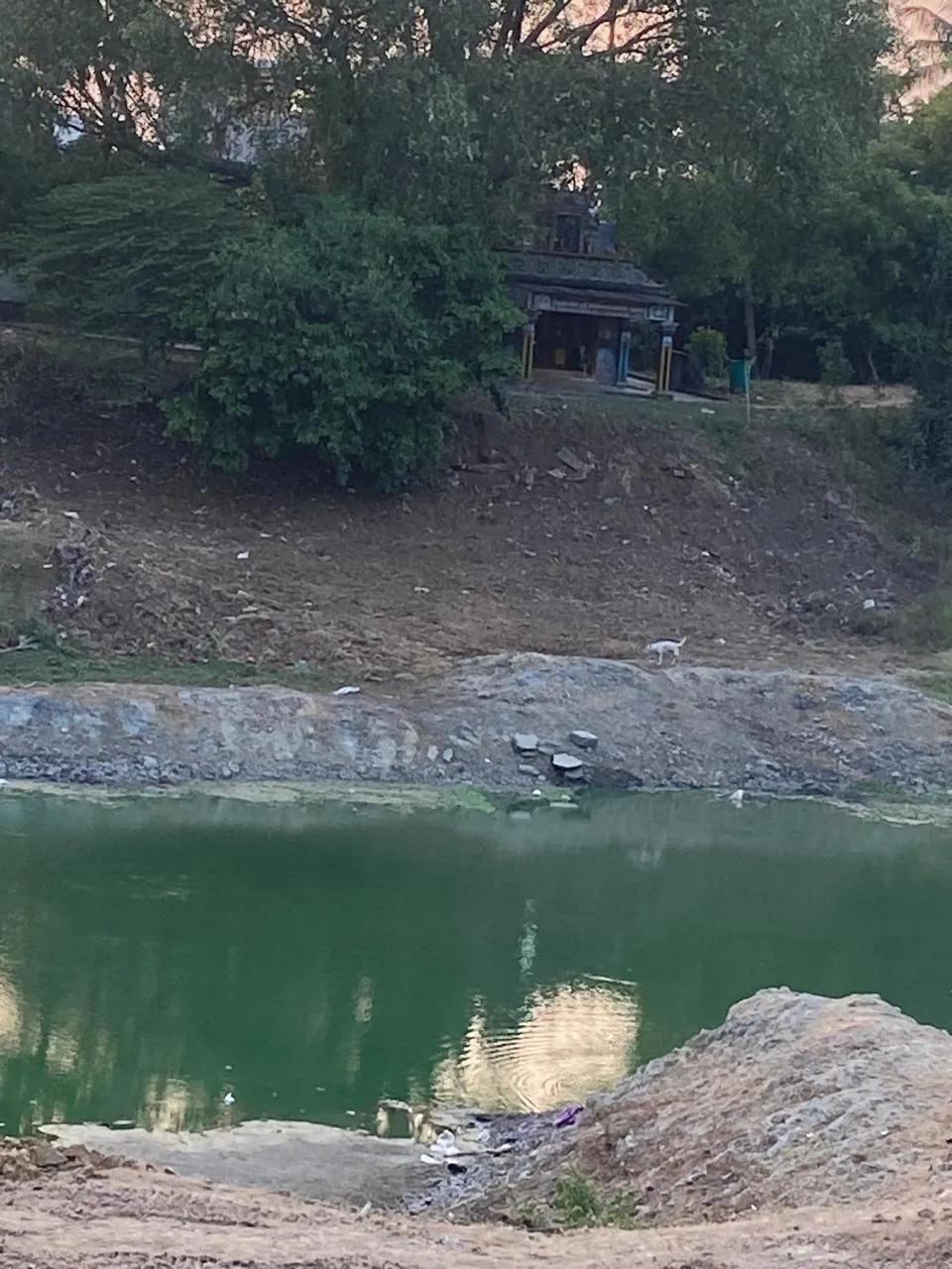 A pocket of standing water in one corner of the lake
