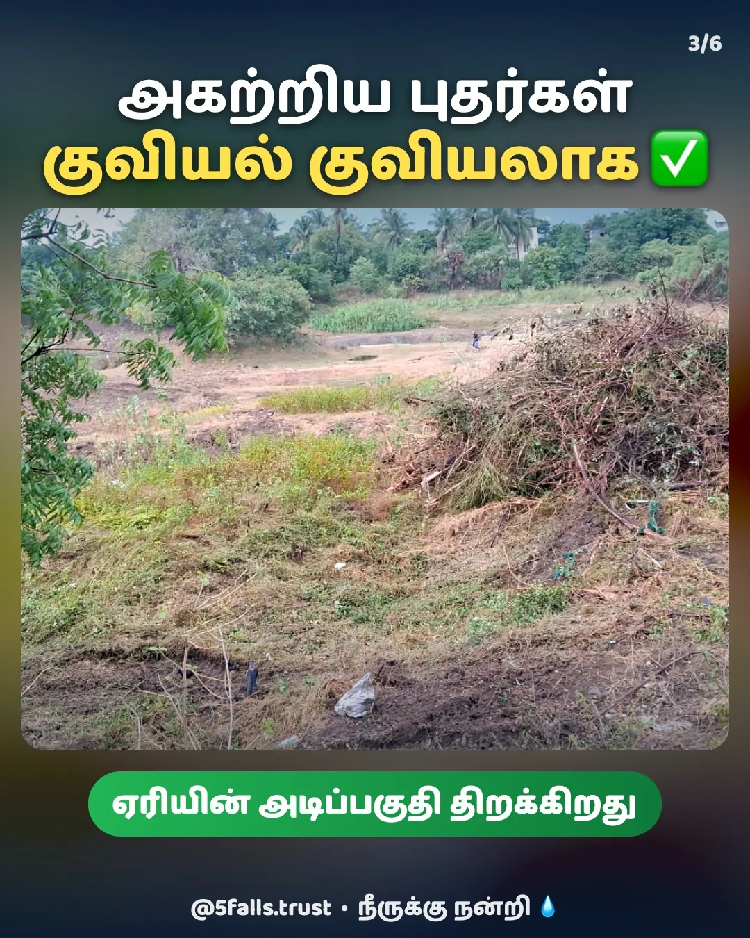 Piles of bushes cleared from the lake bed